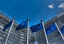 EU Strengthens Economic Ties with Tanzania for Future Growth EU Strengthens Economic Ties with Tanzania for Future Growth