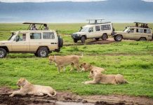 Joint Tourism Efforts Enhance Growth in Tanzania and Beyond Joint Tourism Efforts Enhance Growth in Tanzania and Beyond