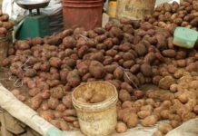 Potatoes Drop, Tomatoes and Poultry Soar Potatoes Drop, Tomatoes and Poultry Soar