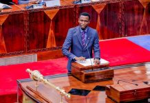 TRA Explores Customs Post Need for Songwe Trade TRA Explores Customs Post Need for Songwe Trade