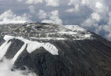 Kilimanjaro Ice Cover Triples Thanks to Conservation Efforts Kilimanjaro Ice Cover Triples Thanks to Conservation Efforts