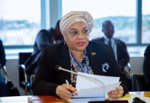 Tanzania Sees Surge in Banking Agents for Financial Access Tanzania Sees Surge in Banking Agents for Financial Access