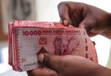 Tanzanians cautioned against ‘kausha damu’ high-risk loans Tanzanians cautioned against ‘kausha damu’ high-risk loans