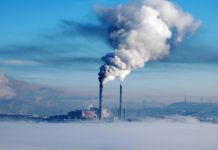 Govt empowers citizens in carbon trading Govt empowers citizens in carbon trading