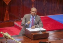 Tanzania Government Plans 45,000 New Public Service Jobs Tanzania Government Plans 45,000 New Public Service Jobs