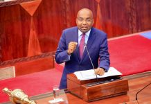 Tanzania’s 99.9bn/- Budget Focuses on Union and Environment Tanzania's 99.9bn/- Budget Focuses on Union and Environment