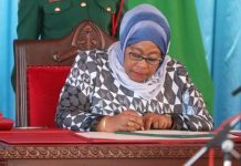 President Samia Appoints New Officials in Diplomatic Reshuff President Samia Appoints New Officials in Diplomatic Reshuff