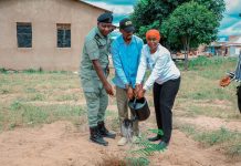 TFS Plants 162 Trees in Dodoma for Union’s 62nd Anniversary TFS Plants 162 Trees in Dodoma for Union's 62nd Anniversary