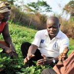 Government moves to reform extension services Government moves to reform extension services