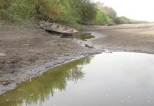 Sudan: Low Nile Levels Destroy Crops Sudan: Low Nile Levels Destroy Crops