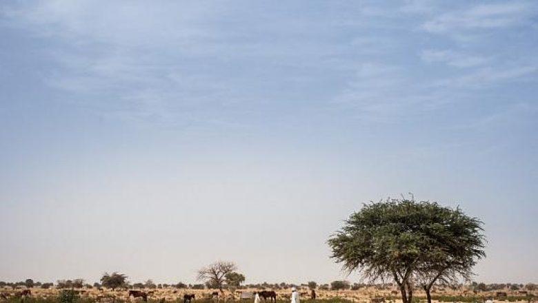 Tchad : le ministre de la sécurité se rend dans le Salamat pour calmer les tensions intercommunautaires Tchad : le ministre de la sécurité se rend dans le Salamat pour calmer les tensions intercommunautaires