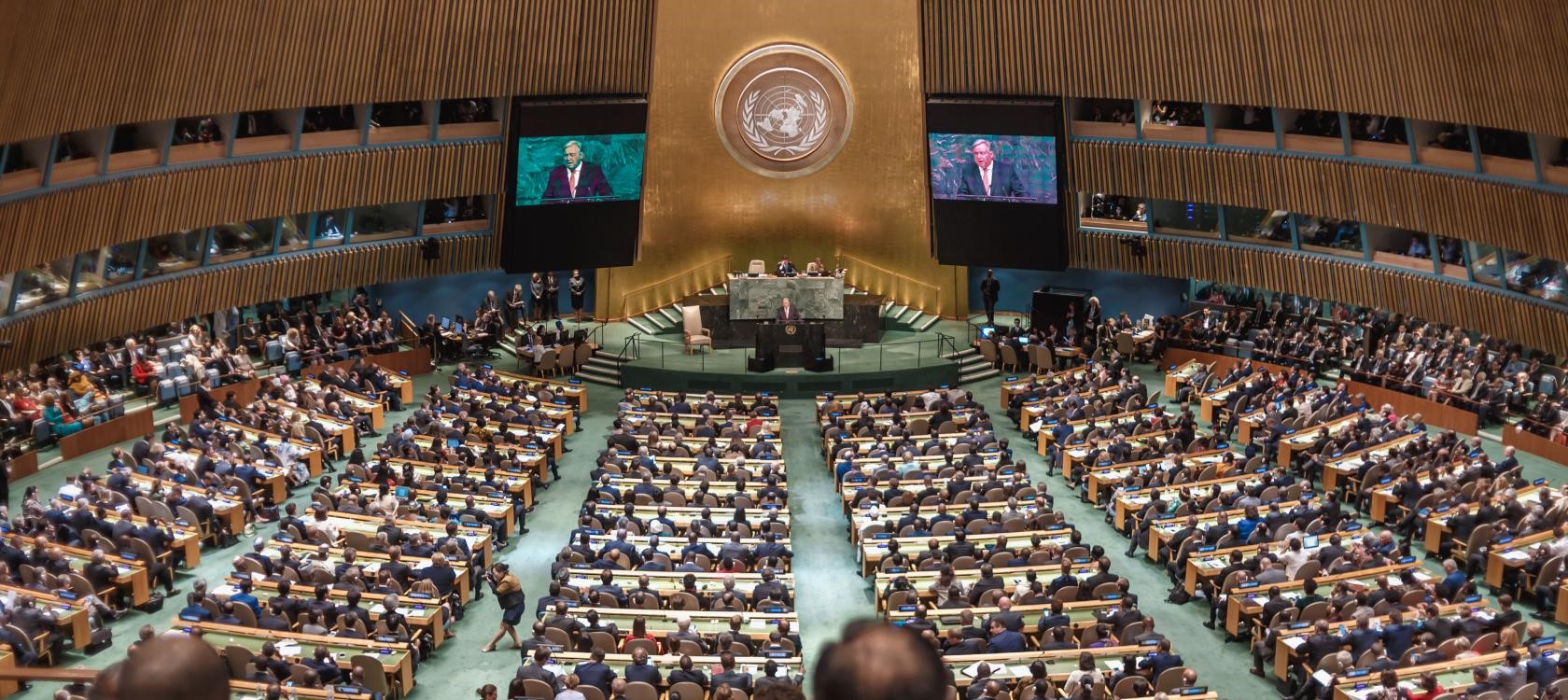 Assemblée générale des Nations Unies 