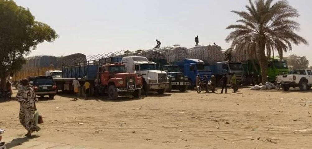 Logone et Chari : les dons du président Paul Biya destinés aux réfugiés camerounais au Tchad, bloqués à l’entrée de Ndjamena Logone et Chari : les dons du président Paul Biya destinés aux réfugiés camerounais au Tchad, bloqués à l’entrée de Ndjamena