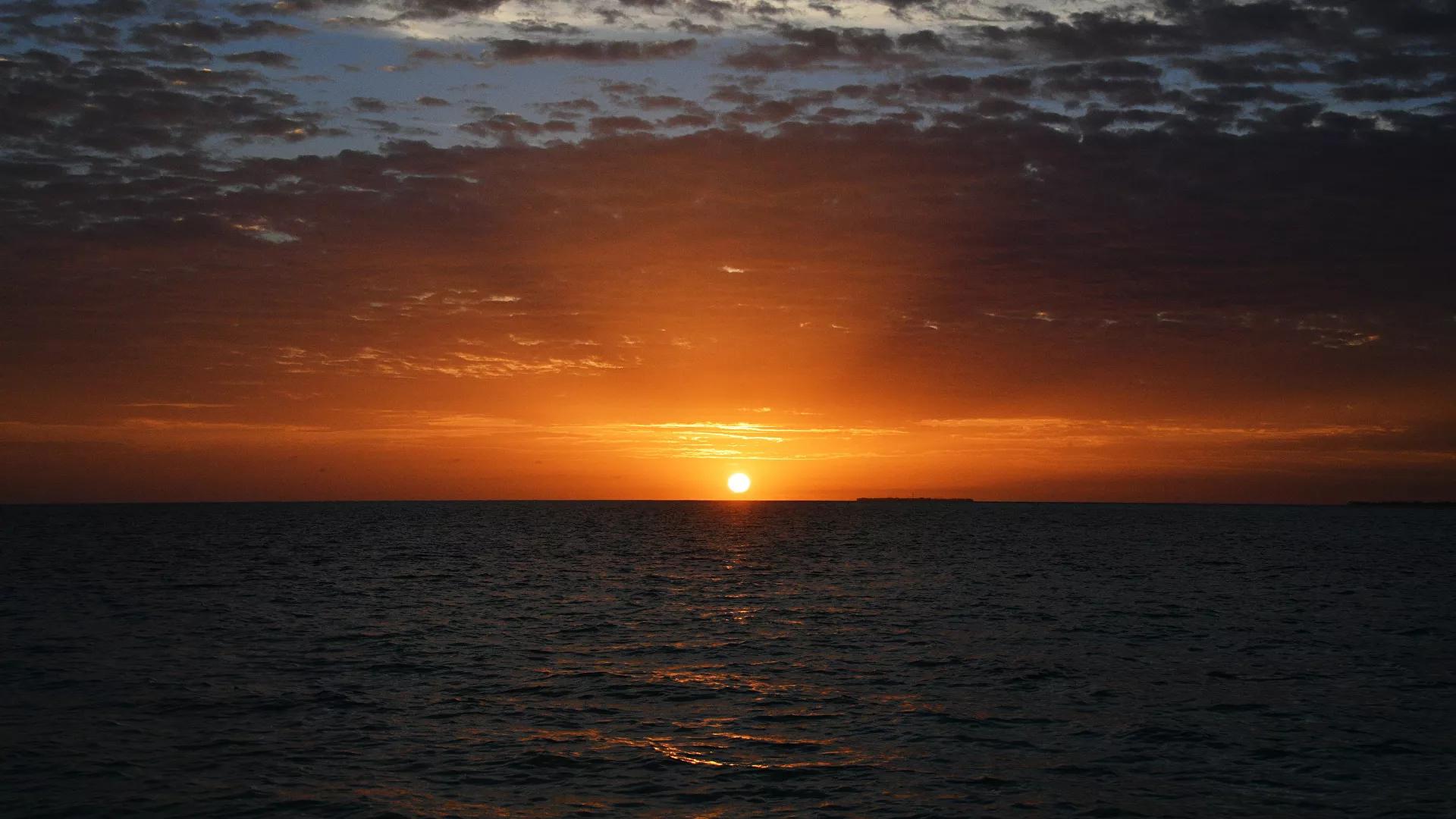 Les températures océaniques ont battu des records en 2021 Les températures océaniques ont battu des records en 2021