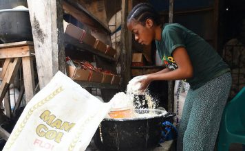 Se passer du blé russe : la stratégie de la BAD pour l’Afrique Se passer du blé russe : la stratégie de la BAD pour l’Afrique