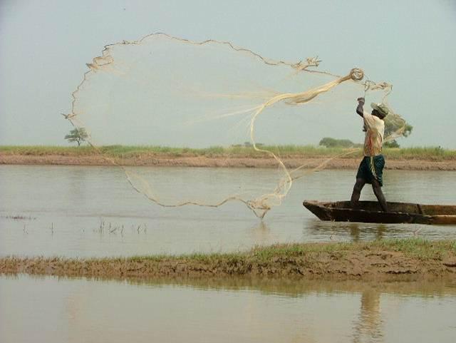 la Force multinationale assure avoir tué une vingtaine de djihadistes la Force multinationale assure avoir tué une vingtaine de djihadistes