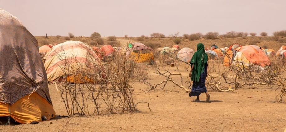 Plus de 100 millions de personnes déracinées dans le monde Plus de 100 millions de personnes déracinées dans le monde
