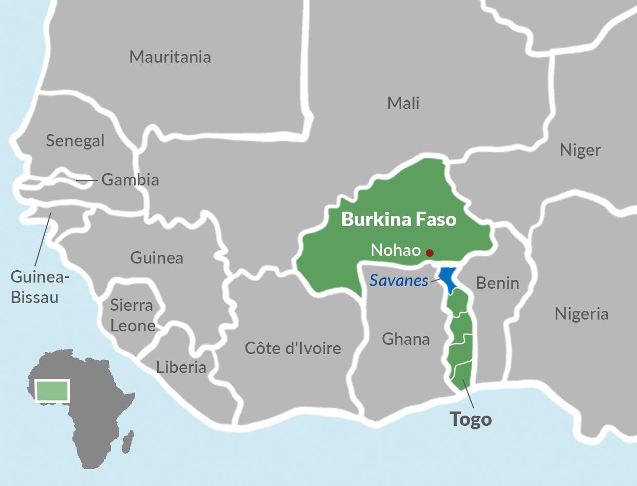 TCHAD / NIGER : Le Togo « concurrent » de ces 2 pays sahéliens pour accueillir les forces françaises retirées du Mali ? TCHAD / NIGER : Le Togo « concurrent » de ces 2 pays sahéliens pour accueillir les forces françaises retirées du Mali ?