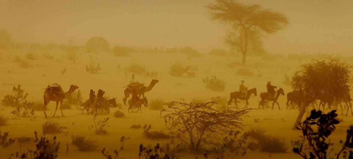 Tchad : les affrontements intercommunautaires ont fait plus de 500 morts depuis le début de l’année (ONU) Tchad : les affrontements intercommunautaires ont fait plus de 500 morts depuis le début de l’année (ONU)