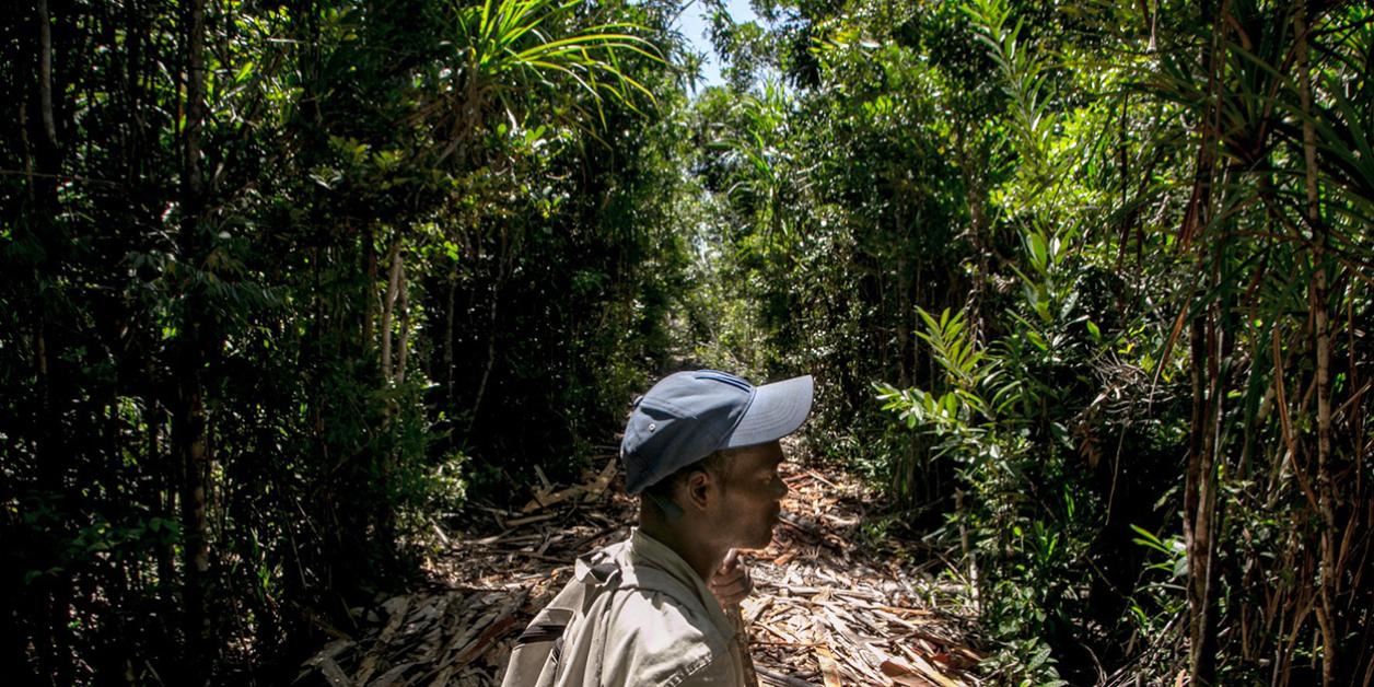 Biodiversité en Afrique : le secteur privé en première ligne Biodiversité en Afrique : le secteur privé en première ligne