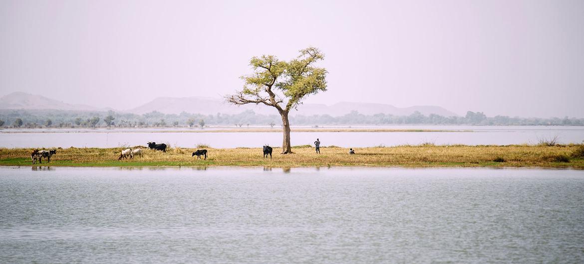 Afrique : 100 milliards $ d'opportunités d'investissement dans l'adaptation au changement climatique d'ici 2040 Afrique : 100 milliards $ d'opportunités d'investissement dans l'adaptation au changement climatique d'ici 2040