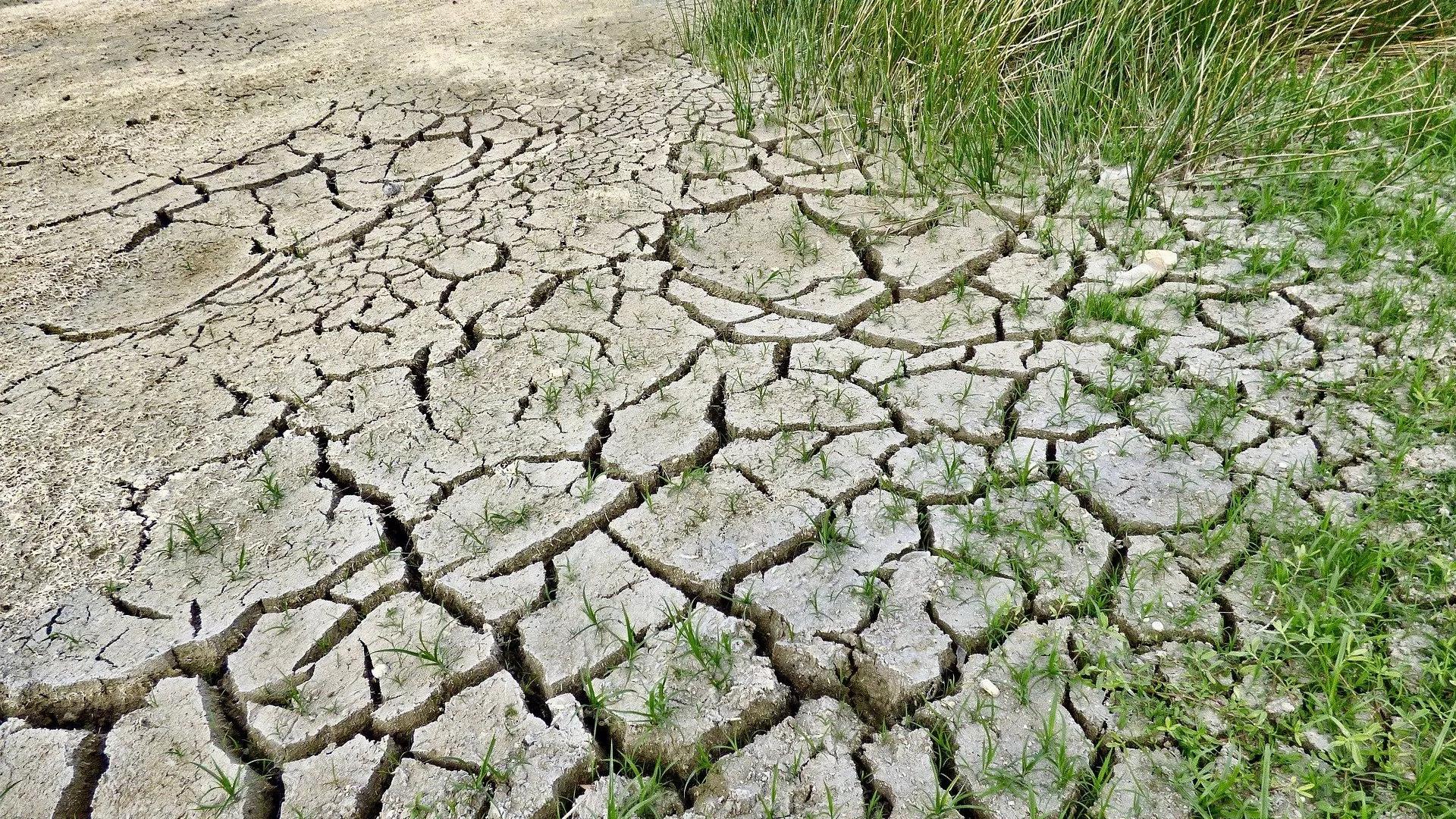 Plus de 150 millions de dollars pour s’adapter au changement climatique en Afrique Plus de 150 millions de dollars pour s’adapter au changement climatique en Afrique