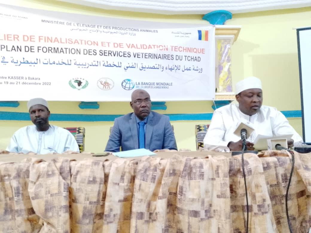 Le Tchad se dote d’un plan de formation des services vétérinaires Le Tchad se dote d’un plan de formation des services vétérinaires