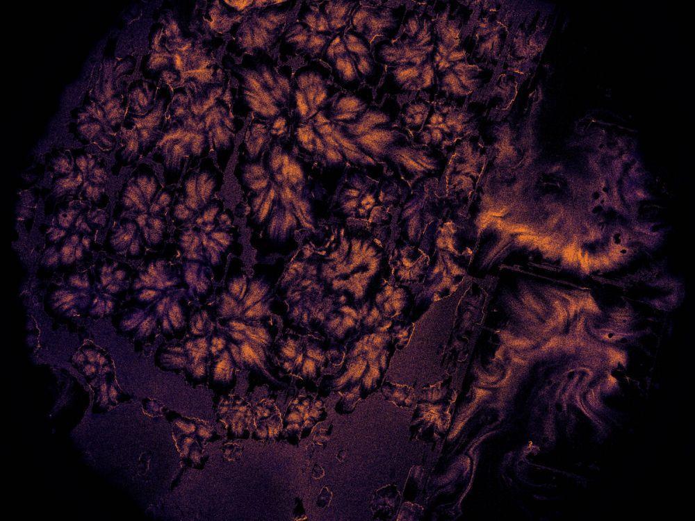 « La preuve en images » : les plus belles images scientifiques du CNRS en 2022 « La preuve en images » : les plus belles images scientifiques du CNRS en 2022