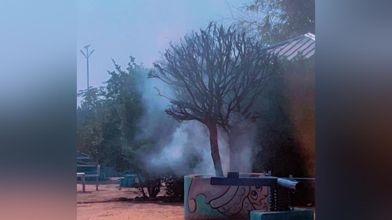 un essaim d'abeilles attaque des enfants au centre de loisirs de Koundoul un essaim d'abeilles attaque des enfants au centre de loisirs de Koundoul