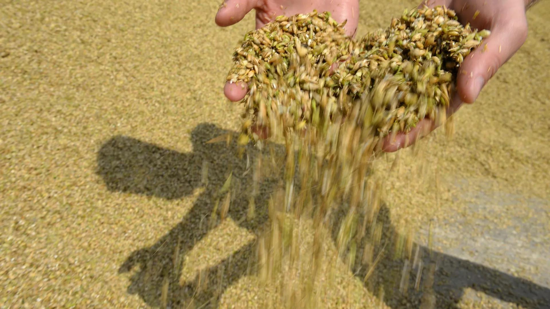 La souveraineté alimentaire en Afrique est plombée par des entreprises occidentales La souveraineté alimentaire en Afrique est plombée par des entreprises occidentales