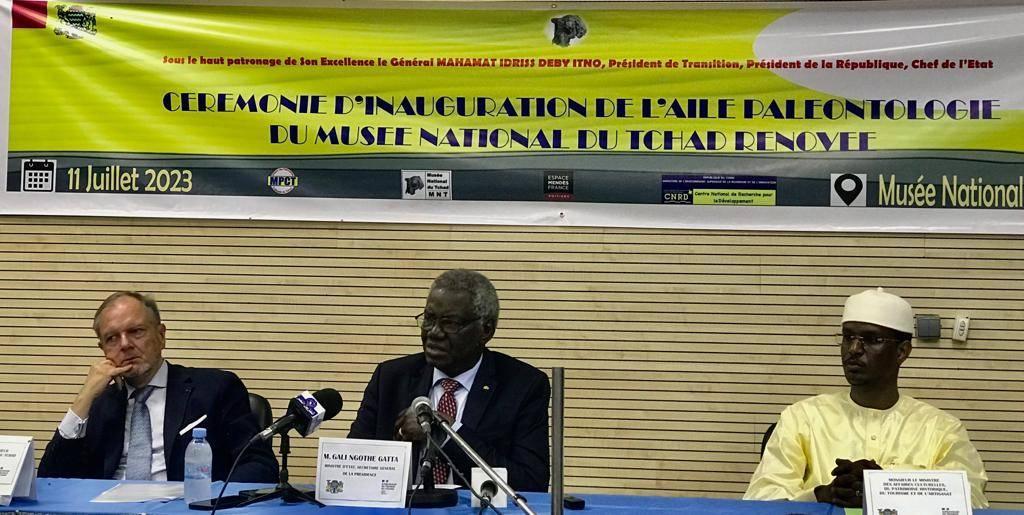 le Musée national dévoile son aile Paléontologie tchad