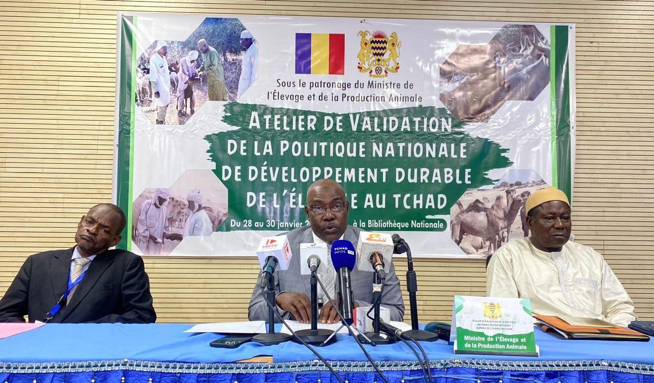 une stratégie nationale pour relever les défis et moderniser le secteur de l’élevage une stratégie nationale pour relever les défis et moderniser le secteur de l’élevage