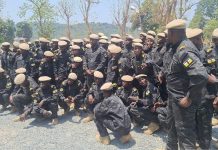 La RCA et le Tchad rendent opérationnelles les forces mixtes pour la stabilité de leurs frontières La RCA et le Tchad rendent opérationnelles les forces mixtes pour la stabilité de leurs frontières