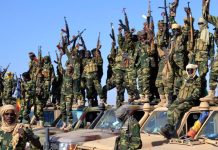 Le Retrait du Niger de la Force du Lac Tchad: Pourquoi en ce Moment et quelles Seraient les Répercussions Le Retrait du Niger de la Force du Lac Tchad: Pourquoi en ce Moment et quelles Seraient les Répercussions