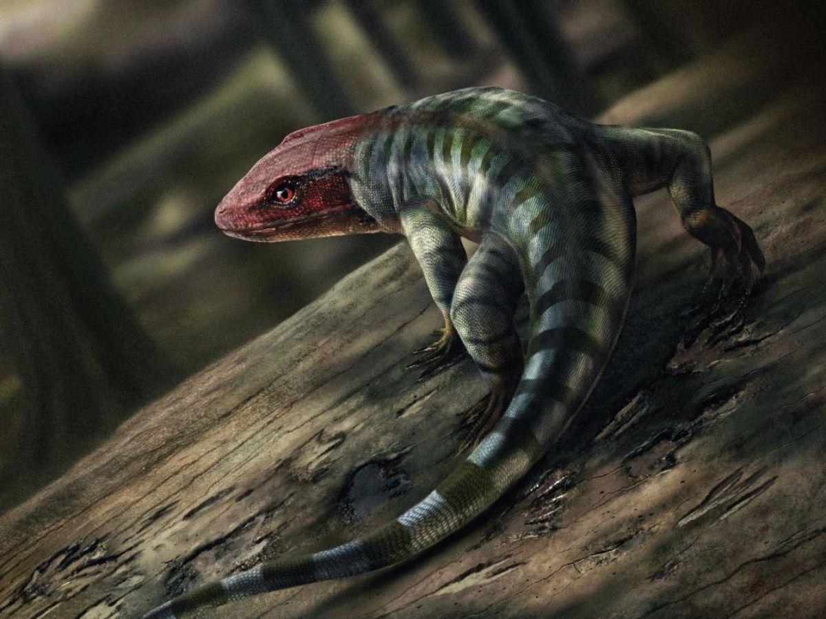La découverte des plus vieilles empreintes de reptile bouleverse la chronologie de la sortie des eaux La découverte des plus vieilles empreintes de reptile bouleverse la chronologie de la sortie des eaux