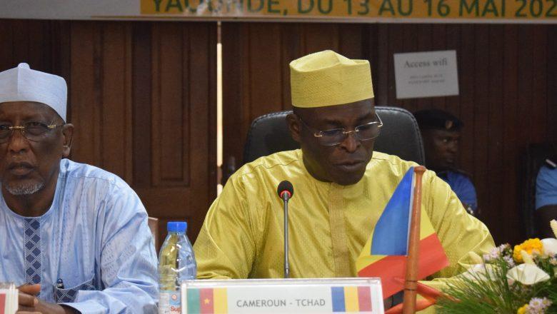 Le Tchad et Cameroun alignent des stratégies pour une interconnexion numérique renforcée