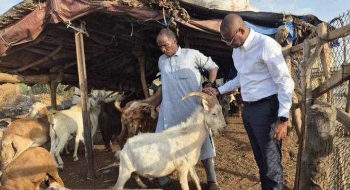 Approvisionnement du marché en bétail, le gouvernement se tourne vers le Tchad à l'approche de la Tabaski Approvisionnement du marché en bétail, le gouvernement se tourne vers le Tchad à l'approche de la Tabaski