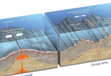 Secrets de fabrication du plancher océanique révélés Secrets de fabrication du plancher océanique révélés