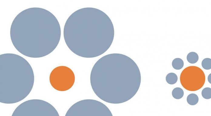 Animaux et Illusions d’Optique: Une Tromperie Partagée Animaux et Illusions d'Optique: Une Tromperie Partagée