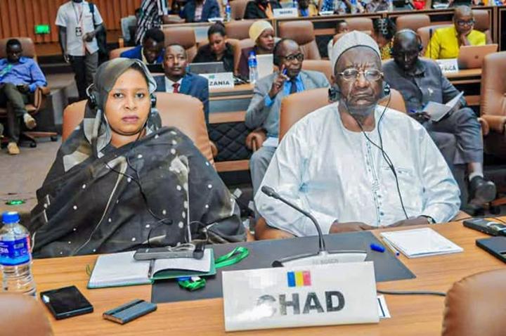 Tchad et Gambie: Ministre Déléguée aux Assises CADHP Tchad et Gambie: Ministre Déléguée aux Assises CADHP
