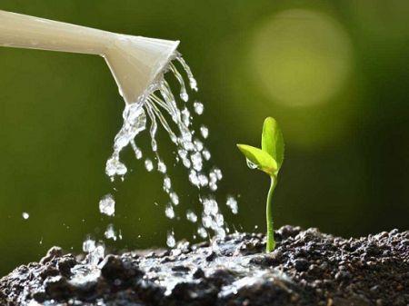 Financement Philanthropique des Systèmes Alimentaires Africains Financement Philanthropique des Systèmes Alimentaires Africains