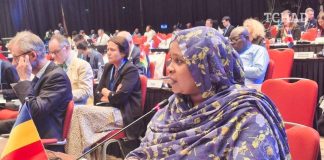 Francophonie: Fatimé Aldjineh Garfa Représente le Tchad Francophonie: Fatimé Aldjineh Garfa Représente le Tchad