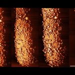 Effet d’un Antibiotique Sur une Bactérie Effet d'un Antibiotique Sur une Bactérie