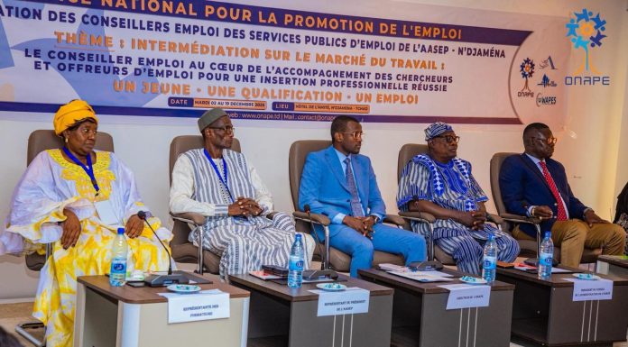 Formation des Conseillers Emploi des SPE de l’AASEP Formation des Conseillers Emploi des SPE de l'AASEP