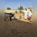 Équipements Pour Autonomisation Femmes à Goz-Beïda Équipements Pour Autonomisation Femmes à Goz-Beïda