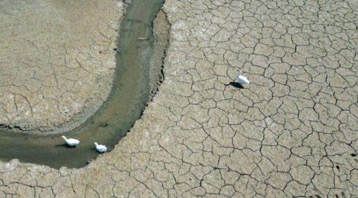 2025 Pourrait Être Une Année Très Chaude 2025 Pourrait Être Une Année Très Chaude