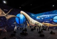 Exposition Immersive Sur Les Dinosaures À L’Atelier Exposition Immersive Sur Les Dinosaures À L'Atelier