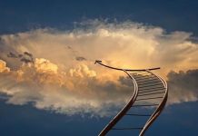 Quand L’Échec Devient Une Force Vers La Réussite Quand L'Échec Devient Une Force Vers La Réussite