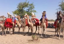 Lancement de la 11ᵉ Édition du Festival Nomade à Guéra Lancement de la 11ᵉ Édition du Festival Nomade à Guéra