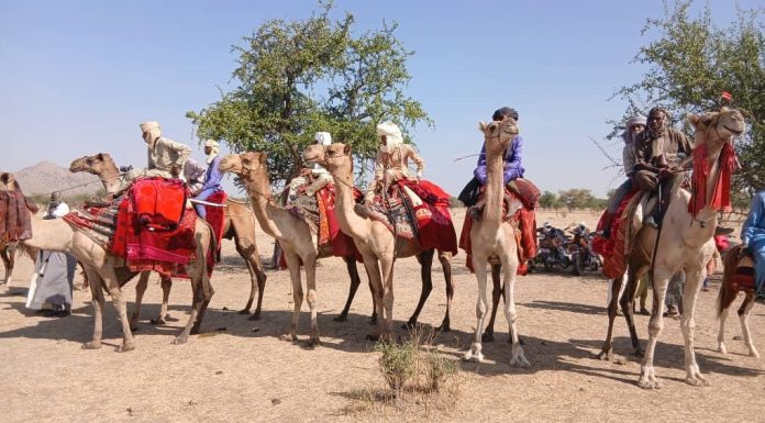 Lancement de la 11ᵉ Édition du Festival Nomade à Guéra Lancement de la 11ᵉ Édition du Festival Nomade à Guéra